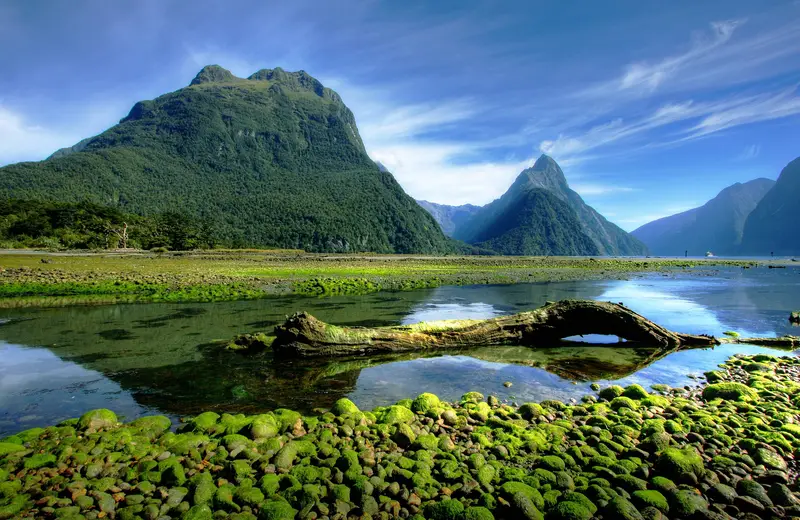 New Zealand Through Local Eyes, Not Tourist Checklists