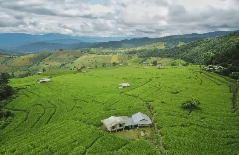 Hiking Doi Inthanon