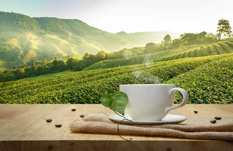 ecocoffee farm stay chiang khan