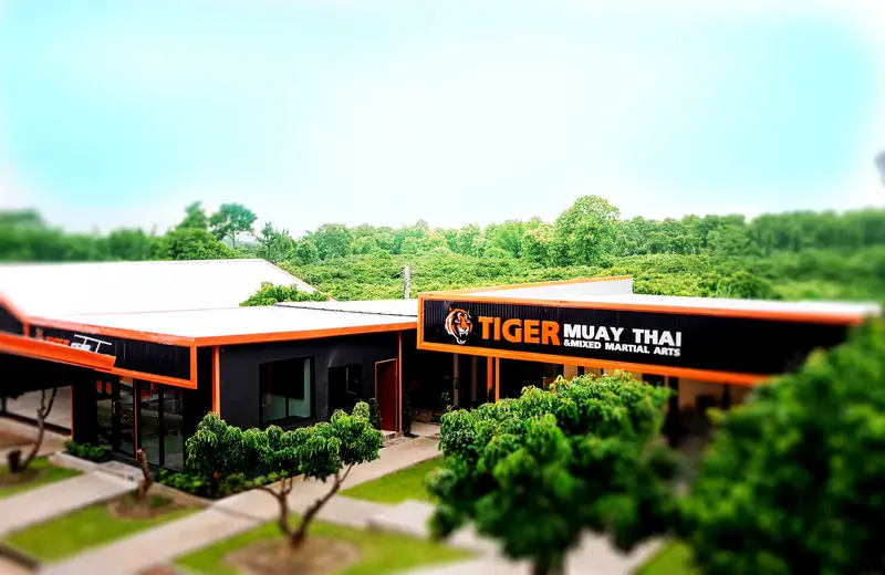 Beginner Muay Thai Camp in Phuket Under 50000