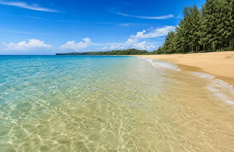 Serene tropical beach with clear waters