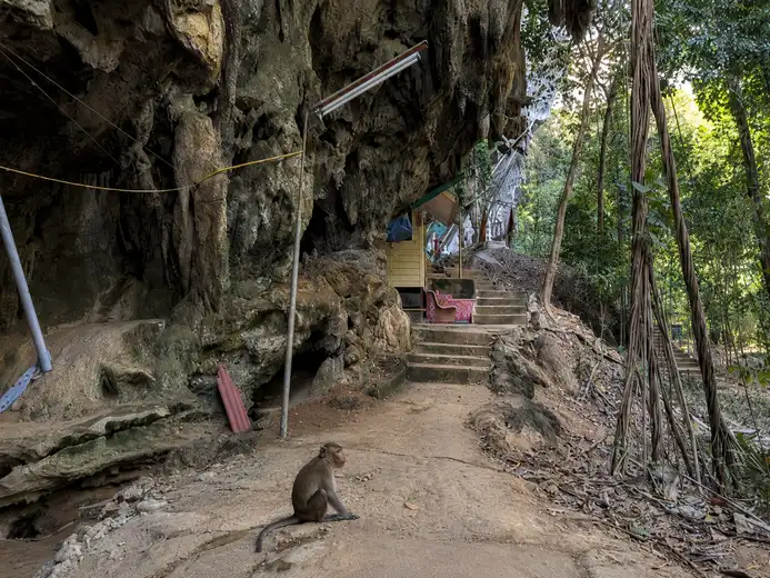 mountains and jungle seen from the top of Tiger Cave Temple Krabi