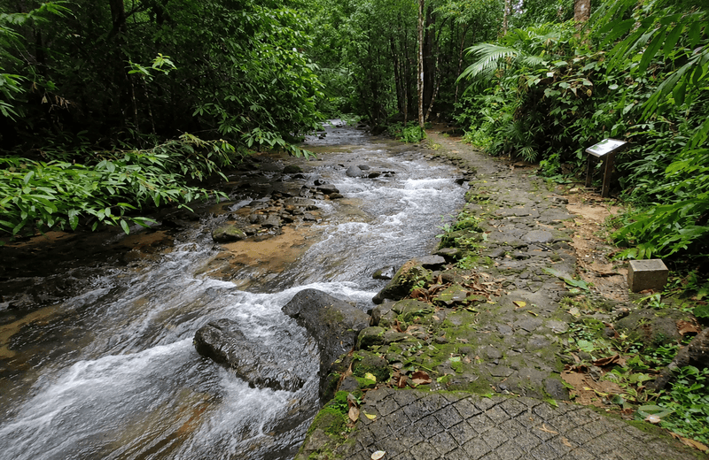 A tall rainforest waterfall in Phang Nga, reached by a short jungle walk, that stays gloriously empt