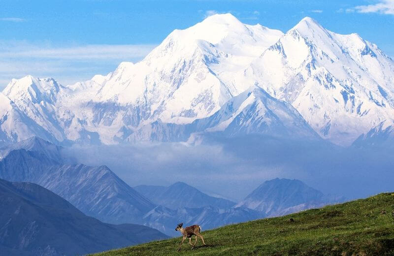 Denali National Park