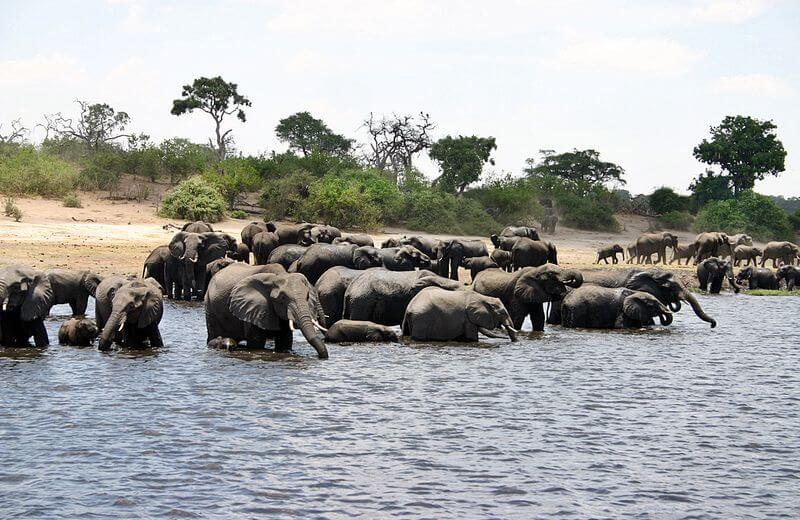 Kavango Zambezi Transfrontier Conservation Area