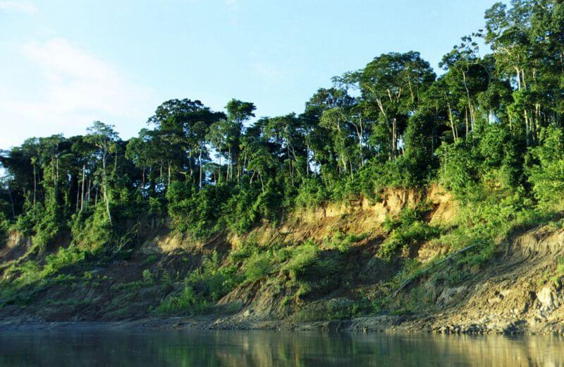 Manú National Park