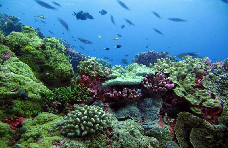 Phoenix Islands Protected Area In Kiribati