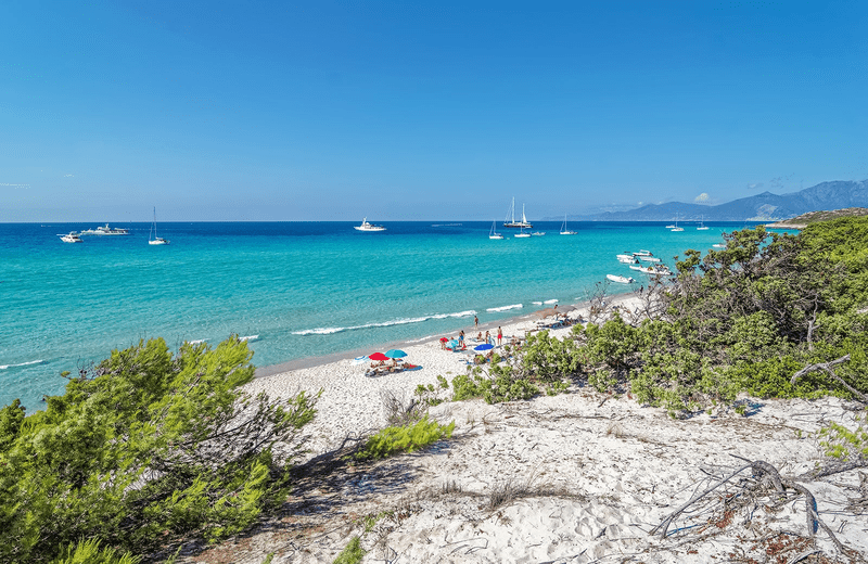 Saleccia Beach, Corsica