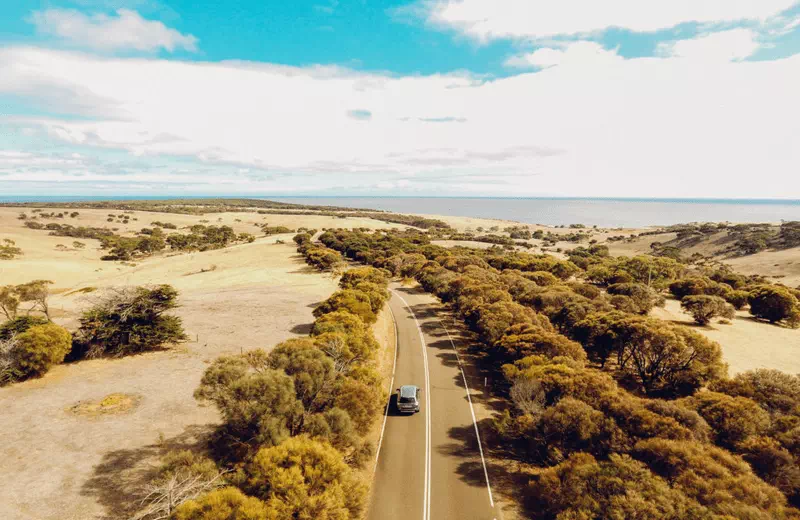 Kangaroo Island wildlife