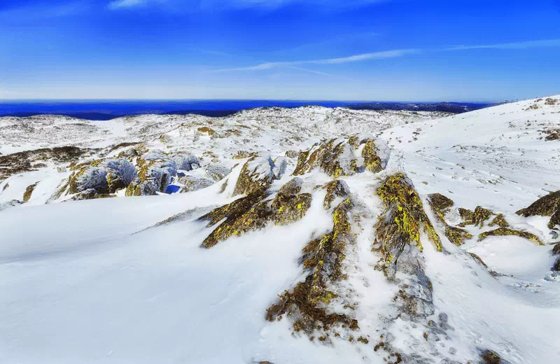 Mount Kosciuszko