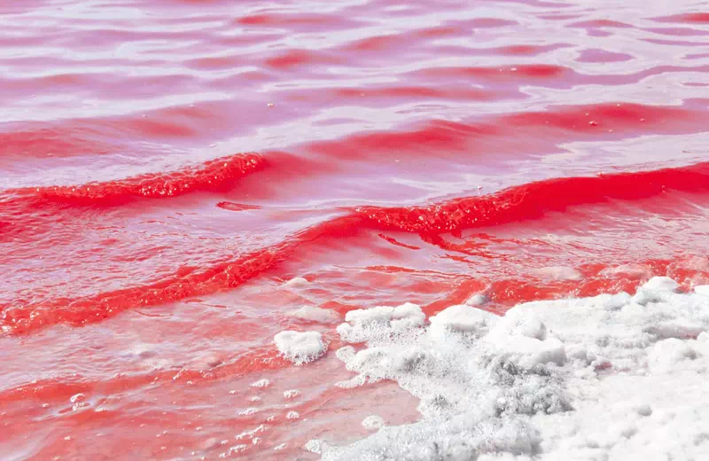 Navigating Lake Hillier with Ease