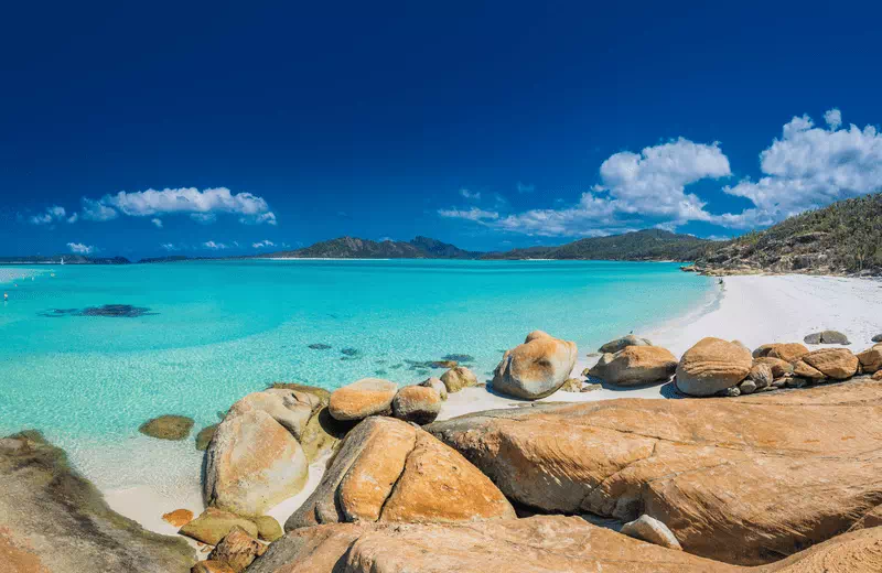 Whitehaven Beach Wildlife
