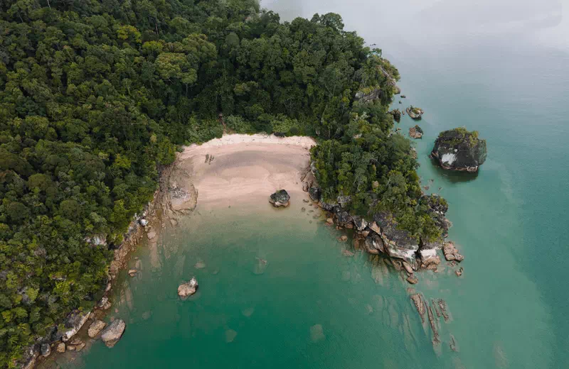 Bako National Park in Malaysia