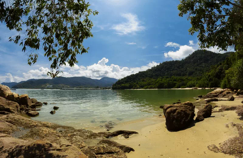 Teluk Duyung, Penang